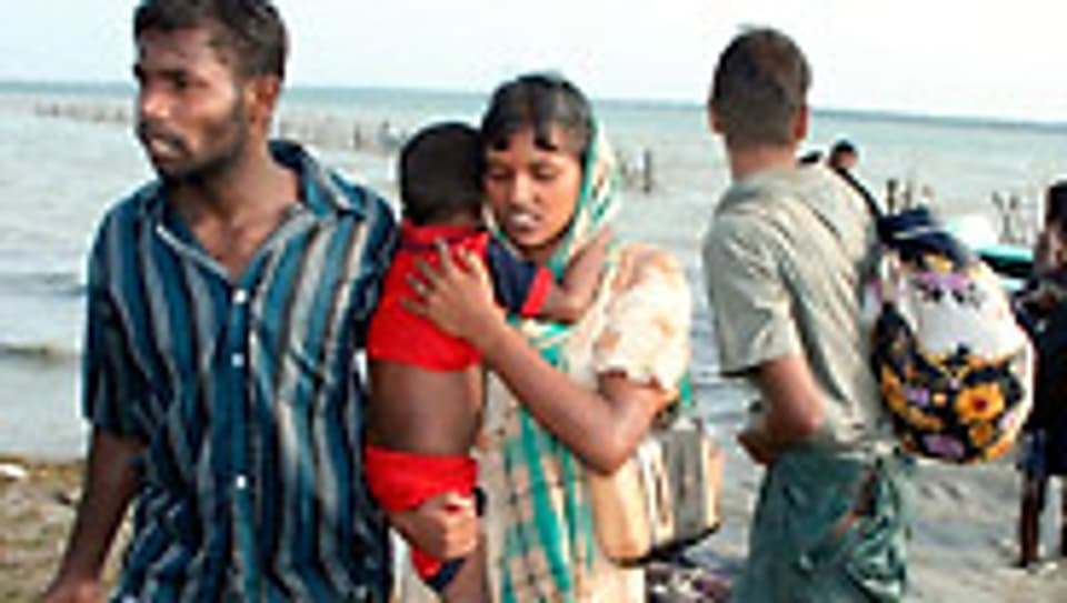 Tamilische Flüchtlinge: Wie sieht ihre Zukunft aus?