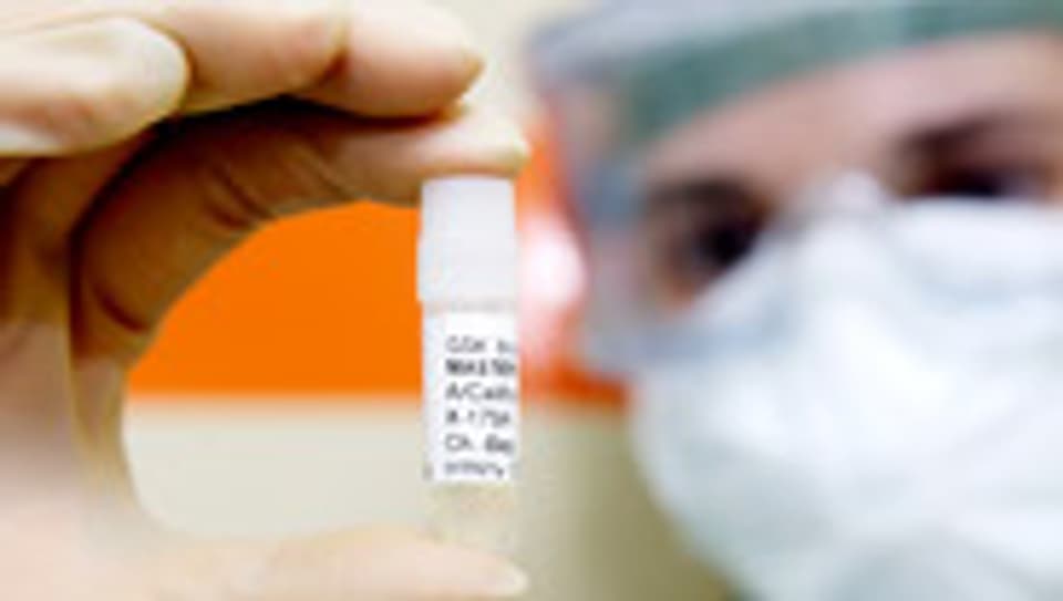 Ein Laborant mit einer Probe des H1N1-Virus zur Produktion des Schweingrippe-Impfstoffs.