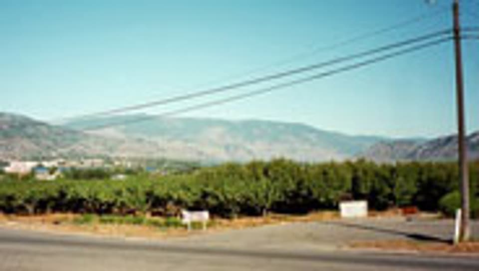 Obstplantagen Okanagan Valley.