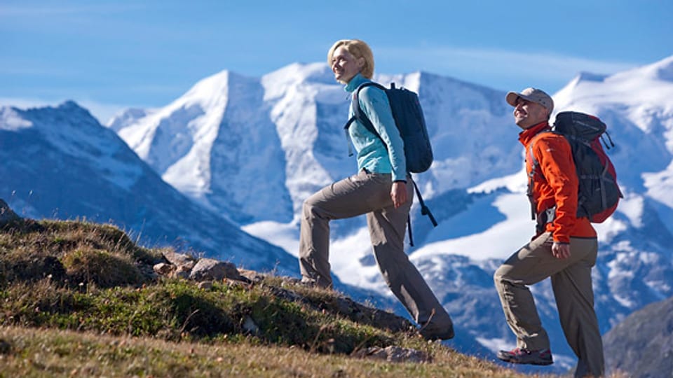 Wandern auf der Alp Languard mit faszinierendem Blick auf den Morteratschgletscher und Piz Palü (3905m).
