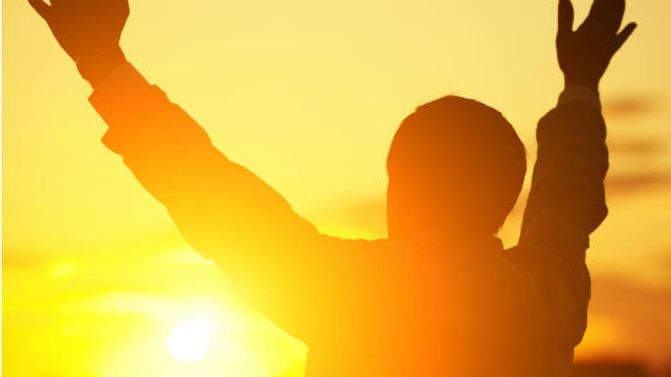 Sonnenstrahlen machen glücklich und gesund: Dank ihnen kann unser Körper Vitamin D entwickeln.