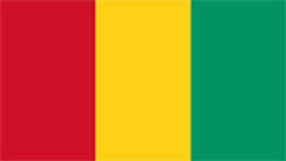 Flagge von Guinea in Westafrika.