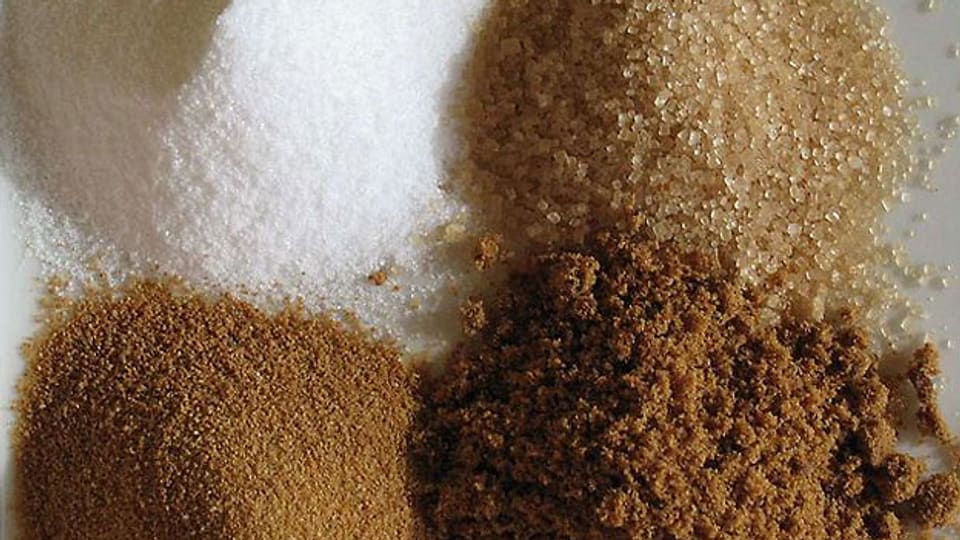Es gibt verschiedene Sorten von Zucker: Weisser Zucker, Farin-Zucker (oben) und zwei Sorten Vollrohrzucker (unten).