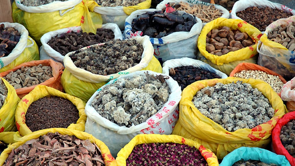 Tibetische Arznei besteht grösstenteils aus getrockneten Pflanzen.