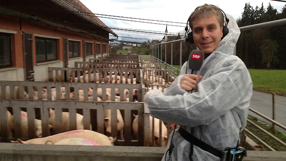 Reto Scherr berichtet live aus der Schweinemästerei.