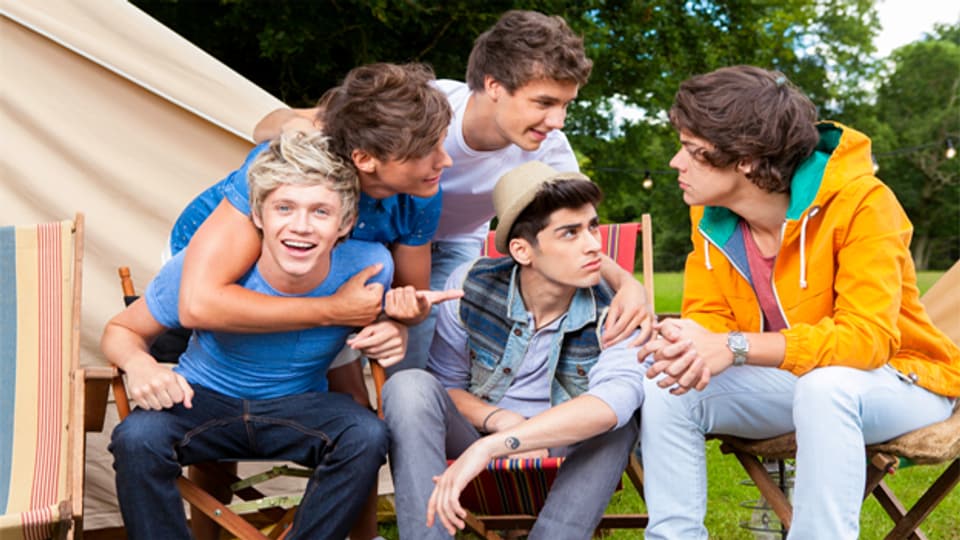 Die Herzensbrecher von One Direction – kurz 1D – sind die Boyband der Stunde.