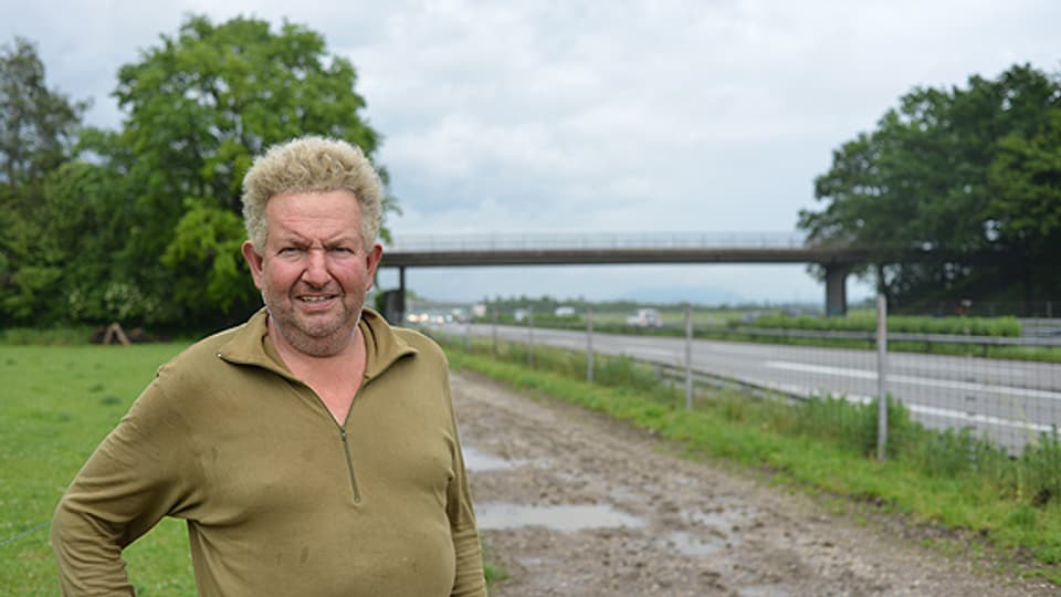 Bauer Bruno Hofstetter aus Oensingen auf einem seiner Felder direkt neben der - ausnahmsweise ruhigen - A1. Er hat als Junge mit dem Bundesrat bei der Eröffnung der Autobahn angestossen.