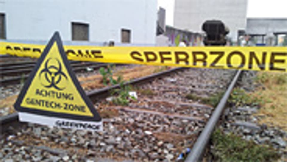 Greenpeace hat in Basel Gentech-Raps entdeckt. Unter anderem im Bahnhof St. Johann.