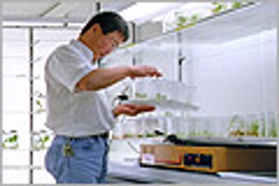 Biotechnologe Zhang Peng forscht an der ETH Zürich.