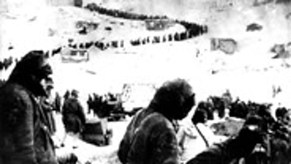Deutsche Gefangene bei Stalingrad, 1943