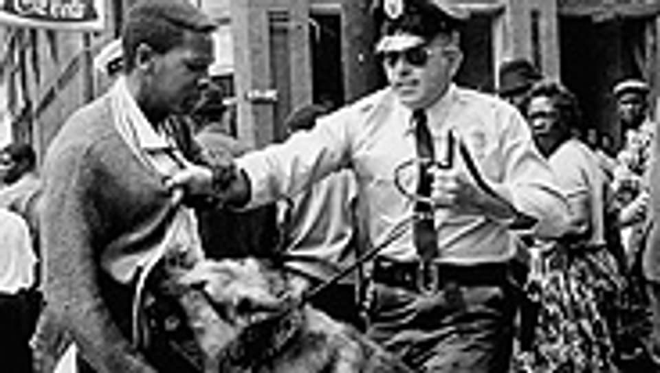 Ein Demonstrant in Birmingham wird von Polizeihunden angegrifften.