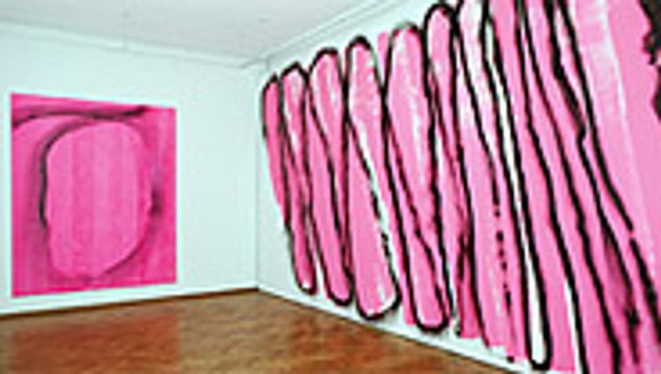 «Ani» und «Ephmeer» von Renée Levi im Kunsthaus Thun.