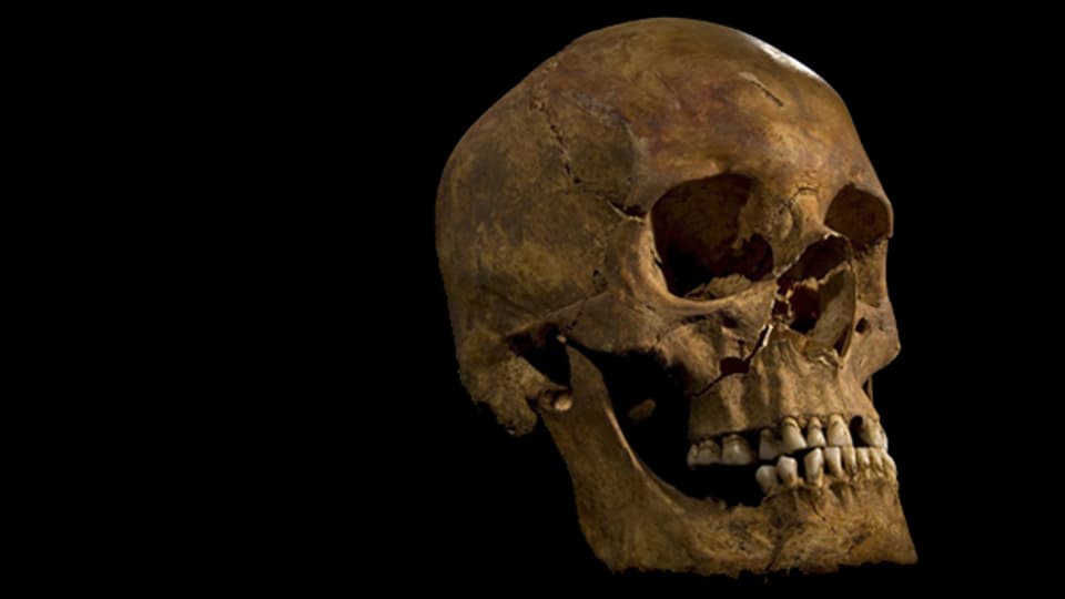 Neben dem Schädel von Richard III. wurden unter einem Parkplatz weitere Knochen gefunden.