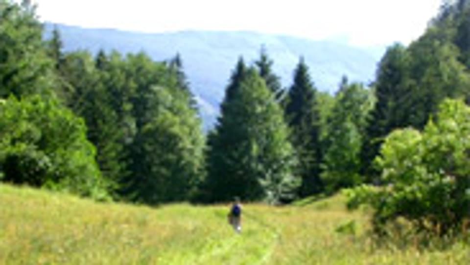 Seit Ende August 2009 ein «Park von nationaler Bedeutung»: der regionale Naturpark Thal im Solothurner Jura.