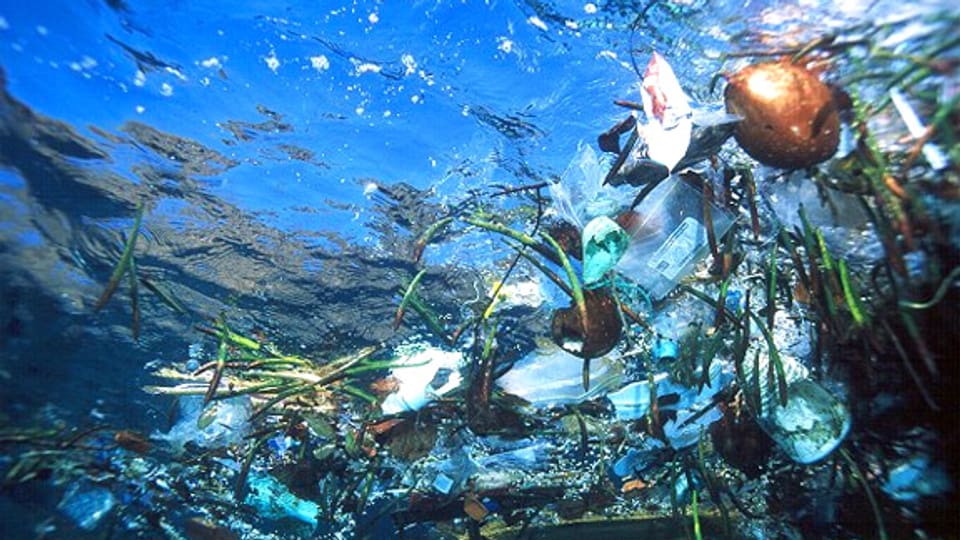 Immer mehr Abfall bedroht den Lebensraum Meer: Schwimmende Müllinsel im Pazifik.