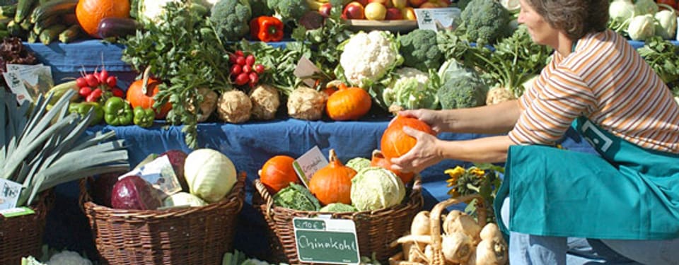 Kann Bio die Welt ernähren? - Passage - SRF