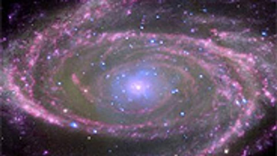 Die Spiralgalaxie M81, fotografiert von Weltraumteleskop Hubble.