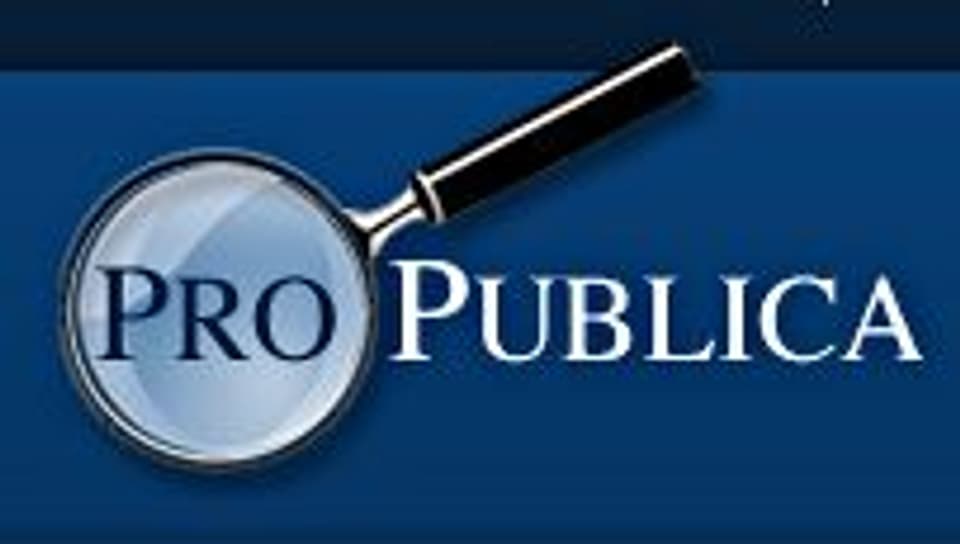 Für die Öffentlichkeit - das Logo des US-Recherchepools Pro Publica.