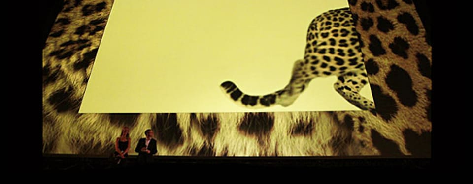 Schon vorbei: der Leopard auf der Piazza-Leinwand am Filmfestival Locarno.