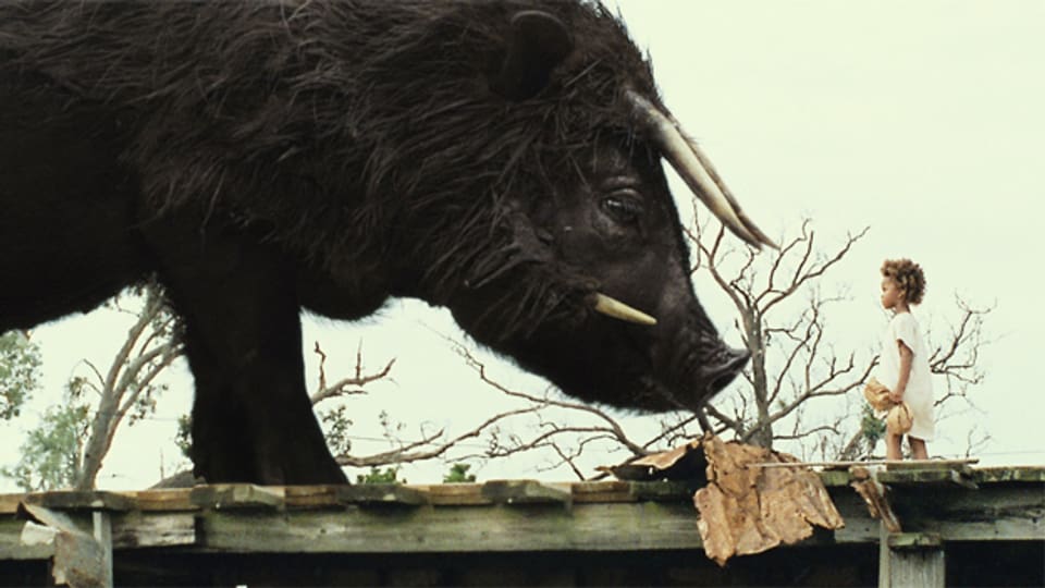 Der Auerochse als Symbol der Kräfte der Natur im Film «Beasts of the Southern Wild».