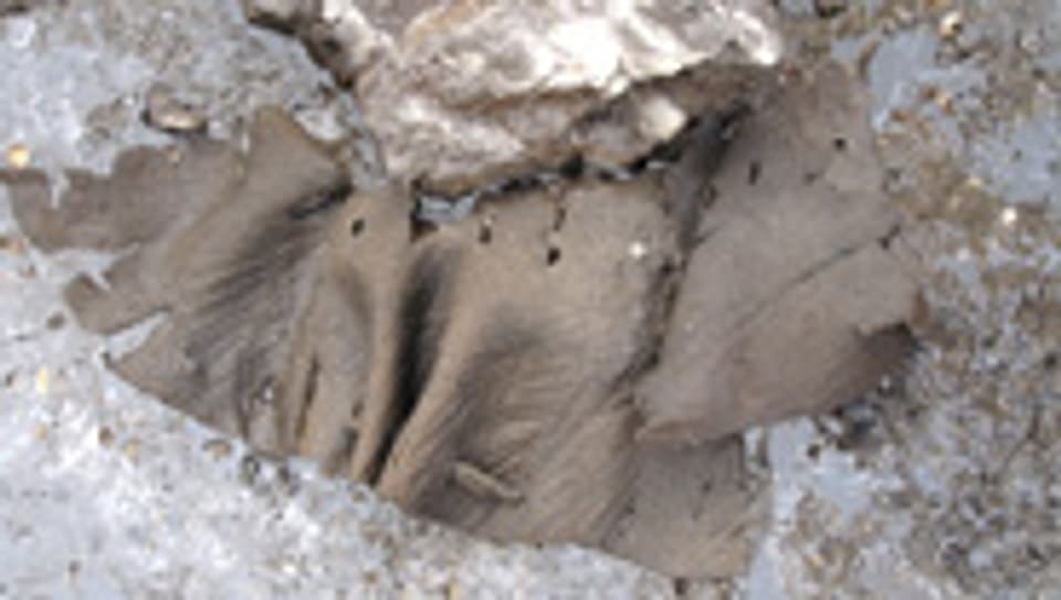 Langsam gibt das Eis seine Schätze frei, wie dieses prähistorische Stück Leder.