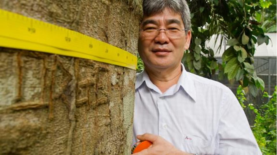 Waldforscher Niro Higuchi vermisst Bäume, um ihren Kohlenstoffgehalt zu bestimmen.