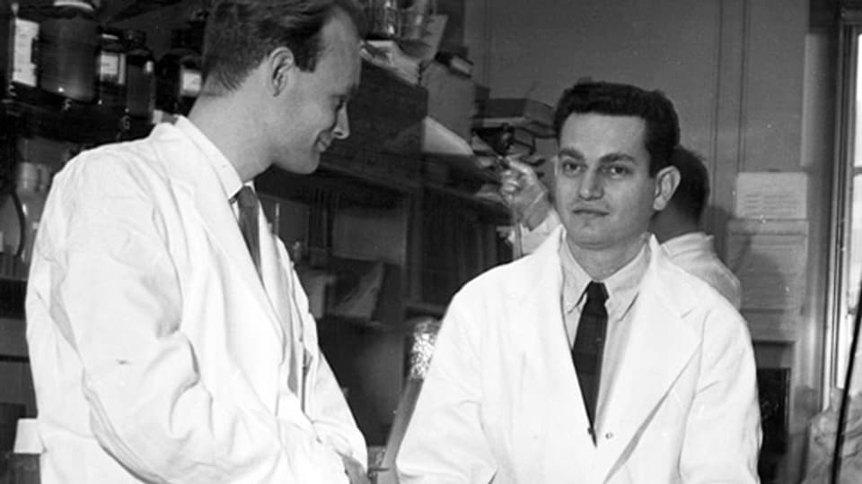 Die Forscher Heinrich Matthaei (links) und Marshall Nirenberg, 1961 in ihrem Labor.