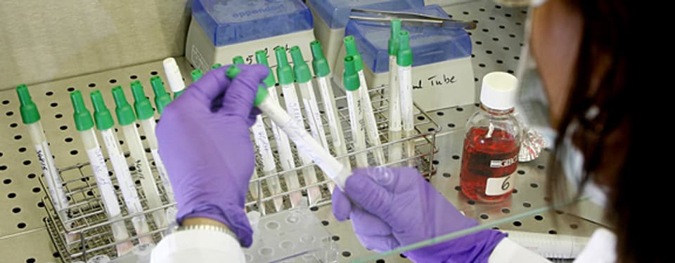 Laborantin bei einem H5N1-Check.
