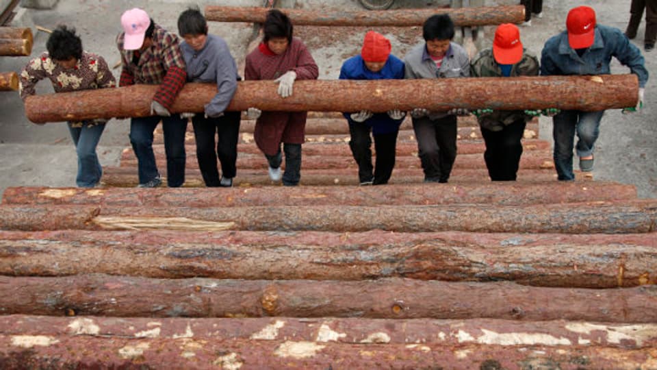Arbeiter auf einem Holzmarkt in China.