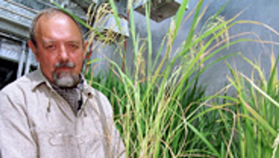 Entwickler des «Golden Rice»: Ingo Potrykus.