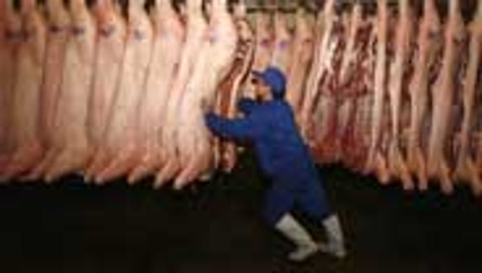 Dioxin-verseuchtes Schweinefleisch kann Krebs verursachen.