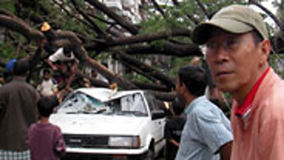 In Rangun sind Bäume auf die Strasse gestürzt.