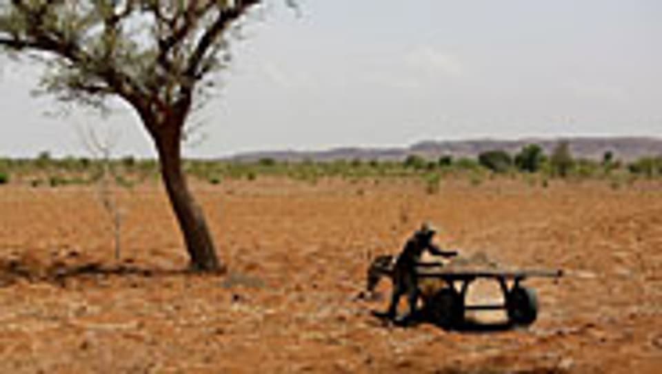 Steigende Trockenheit in der Sahelzone.