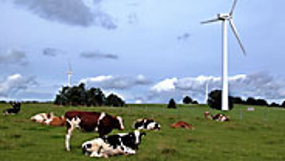 Im waadtländer Jura soll ein Windpark enstehen.