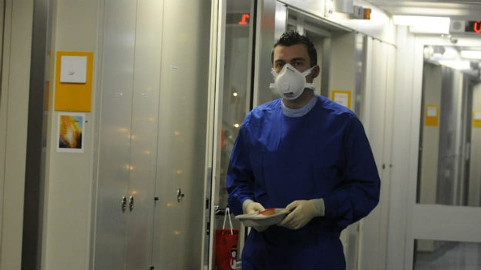Schweinegrippe-Fälle in Frankreich