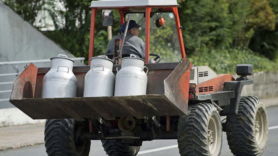 Ein Landwirt ist mit Traktor und Milchkannen unterwegs in die Käserei.