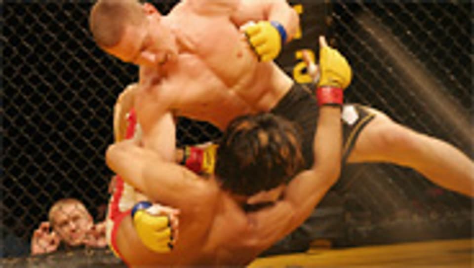 Beim Free-Fighting, auch Mixed Martial Arts (MMA) genannt, ist alles erlaubt.