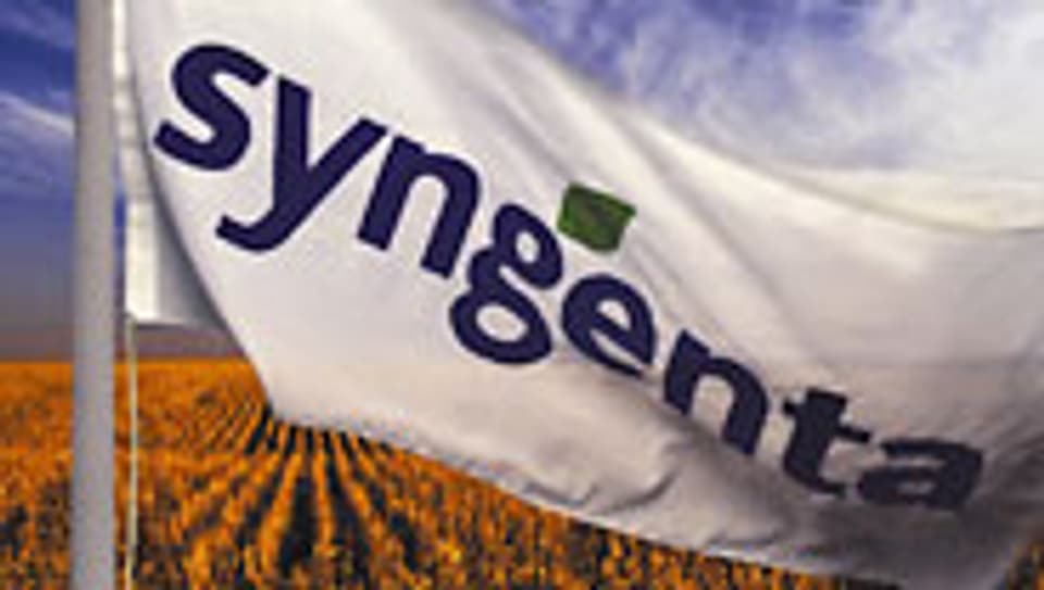Syngenta hat im ersten Halbjahr 2008 kräftig zugelegt.