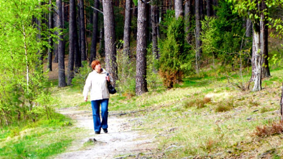 Spazieren, gehen oder laufen in der Natur ist gut für Geist und Körper.