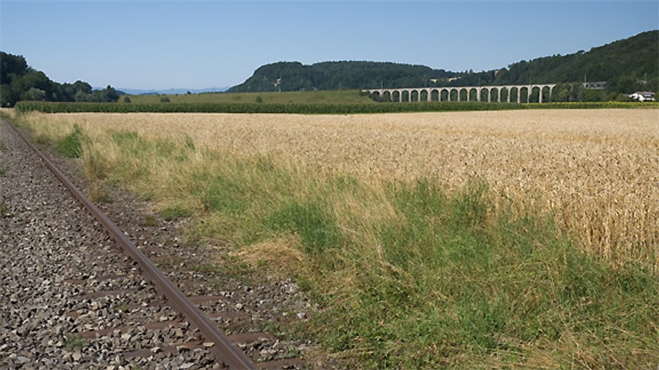 Die Gleise der still gelegten Sensetalbahn (links) mit Blick auf das Gümmen-Viadukt.