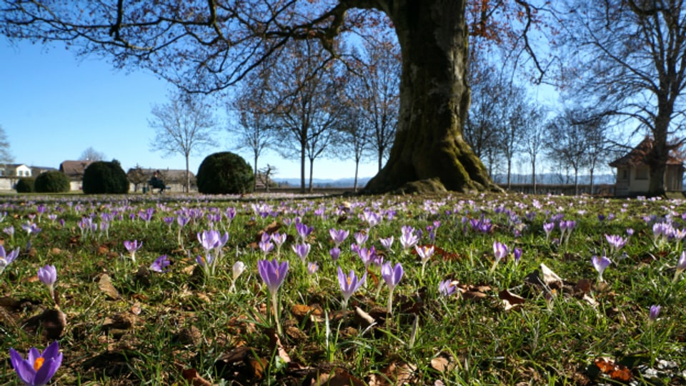 Frühlingswetter