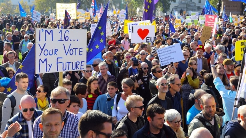 Die Demonstranten fordern eine zweite Abstimmung zum Brexit