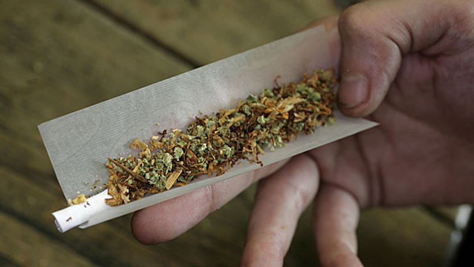 Die Aargauer Suchtberatung verzeichnet 2013 einen deutlichen Anstieg bei den Beratungen wegen Cannabis-Konsum.
