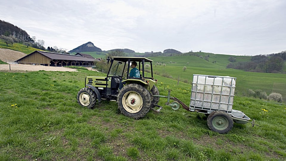 Die Aargauer Bauern sollten 2013 etwas mehr verdienen als im Vorjahr. Die Solothurner Bauern rechnen mit weniger.