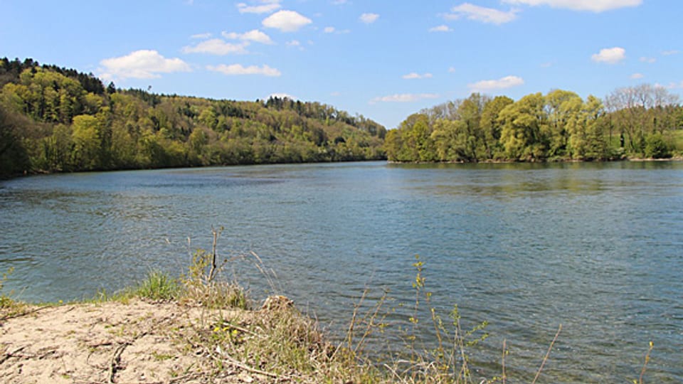 Der Koblenzer Laufen mit seinem Gwild (Molassefelsriegel im Flussbett) ist Teil des Auengebiets Rietheim-Koblenz.