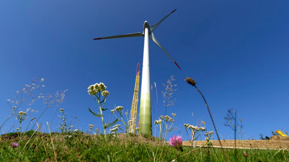 Das Initiativkomitee sammelte ein Jahr lang Unterschriften um zu verhindern, dass es im Aargau Windkraftanlagen gibt.