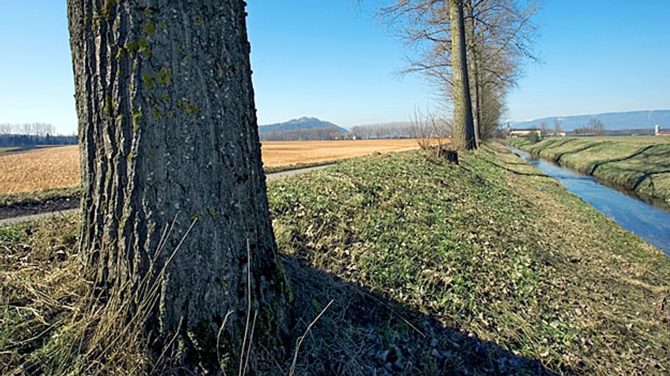 Im Aargau flammt der Streit über den nötigen Abstand von Gewässern zu Agrar- und Bauland erneut auf.