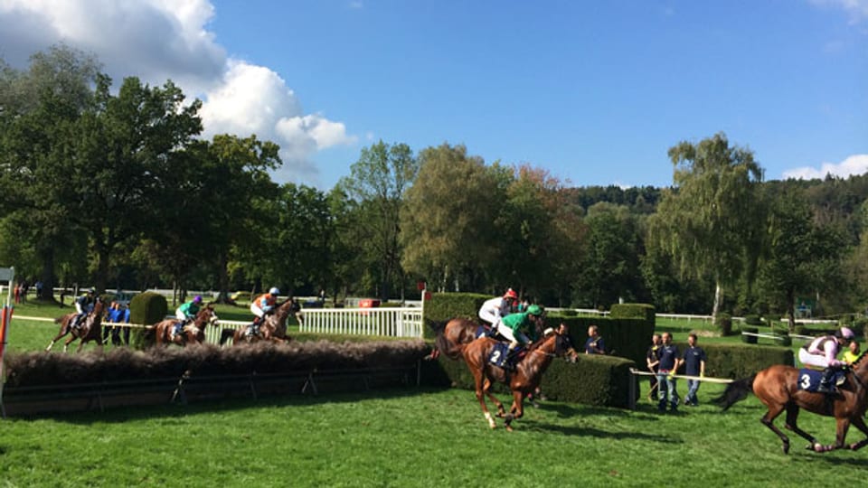 Aarauer Pferderennsaison ist am Sonntag zu Ende. Total kamen 2014 rund 30'000 Personen dafür nach Aarau.