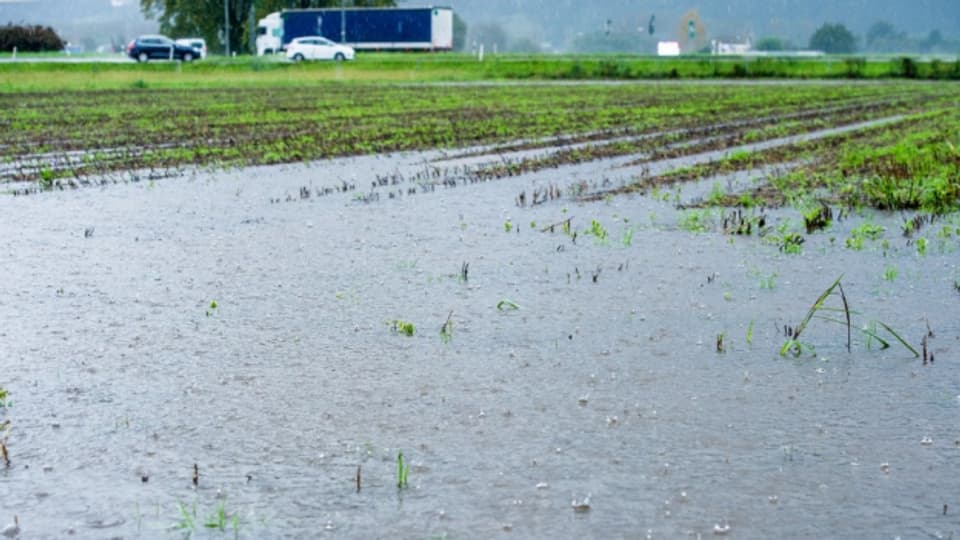 Bei Hochwasser an der Reuss soll in Zukunft Landwirtschaftsland geflutet werden. (Symbolbild)