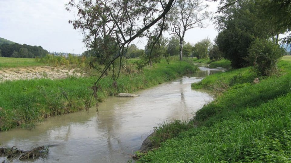 Nach der Sissle ist jetzt auch die Bünz gefährdet. Der Kanton Aargau verhängt ein Wasserentnahmeverbot.